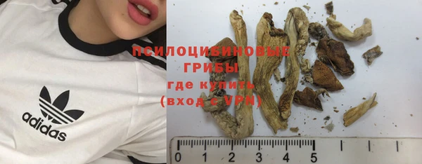 индика Алзамай