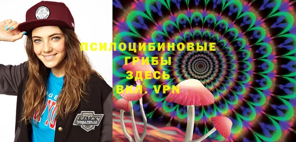 индика Алзамай