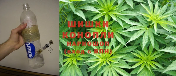 индика Алзамай