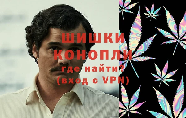 индика Алзамай