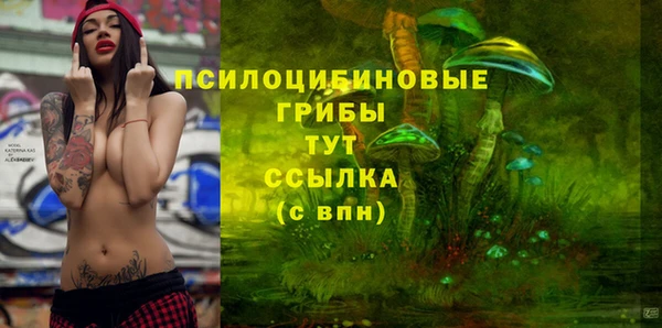 индика Алзамай