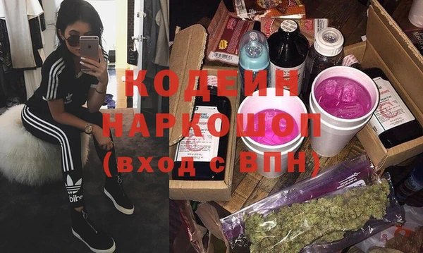 индика Алзамай