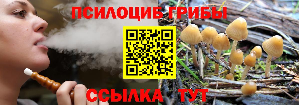 Псилоцибиновые грибы мухоморы Томск